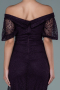 Robe De Soirée Dantelle Longue Violet ABU2427