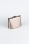 Sac de Boîte Cuir dentelé Platine V288