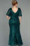 Robe de Soirée Grande Taille Longue Squameuse Émeraude ABU2796
