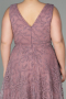 Robe De Soirée Grande Taille Longue Couleur Rose ABU2537