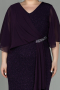 Robe de Soirée Grande Taille Longue Violet ABU2979