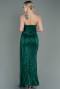 Robe de Soirée Longue Squameuse Émeraude ABU3134