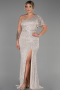 Robe Grande Taille Longue Vison ABU1893