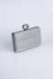 Sac de Soirée Luxe Coupe Au Laser Platine SH830