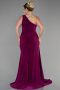 Robe Grande Taille Longue Prune ABU3132