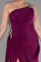 Robe Grande Taille Longue Prune ABU3132