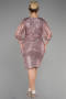 Robe De Invitation Grande Taille Courte Poudre ABK1879