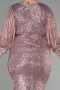 Robe De Invitation Grande Taille Courte Poudre ABK1879