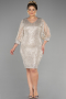 Robe De Invitation Grande Taille Courte Vison ABK1879