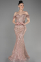 Robe De Fiançailles Grande Taille Longue Poudre ABU3530