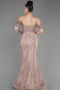 Robe De Fiançailles Grande Taille Longue Poudre ABU3530