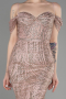 Robe De Fiançailles Grande Taille Longue Poudre ABU3530