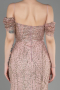 Robe De Fiançailles Grande Taille Longue Poudre ABU3530