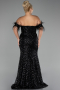 Robe de Soirée Grande Taille Longue Noir ABU4149