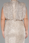 Robe De Soirée Grande Taille Squameuse Longue Vison ABU3115