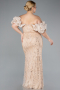 Robe De Fiançailles Grande Taille Longue Perlé Or ABU4788