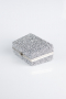 Sac de Soirée Luxe Pierreux Argent KC701