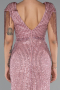 Robe de Soirée Longue Poudre ABU5132