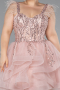 Robe De Fiançailles Grande Taille Courte Poudre ABK2087