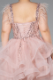 Robe De Fiançailles Grande Taille Courte Poudre ABK2087