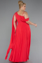 Robe Grande Taille Longue Mousseline Fleur de Grenade ABU5194