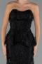 Robe de Soirée Longue Noir ABU5249