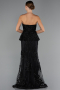 Robe de Soirée Longue Noir ABU5249