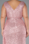 Robe de Soirée Grande Taille Longue Squameuse Poudre ABU3194