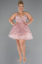 Robe Grande Taille Courte Poudre ABK2436