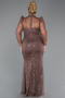 Robe De Fiançailles Grande Taille Longue Brun ABU4527