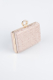 Sac de Soirée Luxe A motifs Rose SH858