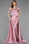 Robe de Soirée Longue Satin Poudre ABU5507