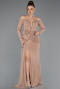 Robe de Soirée Longue Dantelle Pelure D'oignon ABU5509
