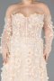 Robe De Fiançailles Grande Taille Longue Or ABU5660