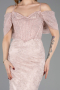 Robe Queue de Poisson Longue Dantelle Poudre ABU5822
