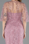 Robe de Soirée Longue Perlé Poudre ABU5798