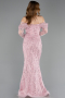Robe de Soirée Longue Perlé Poudre ABU5825