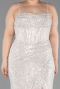 Robe Grande Taille Squameuse Longue Beige ABU3322