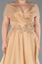 Robe De Fiançailles Grande Taille Longue Or ABU5879