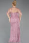 Robe De Soirée Grande Taille Longue Perlé Poudre ABU5800