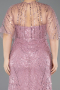 Robe De Soirée Grande Taille Longue Perlé Poudre ABU5800