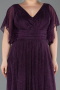 Robe De Soirée Grande Taille Longue Violet ABU5323