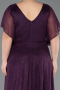 Robe De Soirée Grande Taille Longue Violet ABU5323