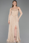 Robe de Soirée Longue Dantelle Beige ABU5887