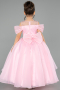 Robe de Mariage Pour Enfant Longue Satin Poudre ABG176
