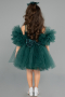 Robe de Soirée Enfants Courte Vert ABK2572