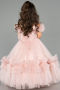 Robe de Mariage Pour Enfant Longue Poudre ABG183