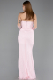 Robe Queue de Poisson Longue Dantelle Poudre ABU5933