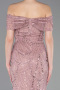 Robe De Soirée Perlé Longue Poudre ABU5694