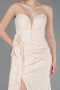 Robe Queue de Poisson Longue Dantelle Beige ABU5975